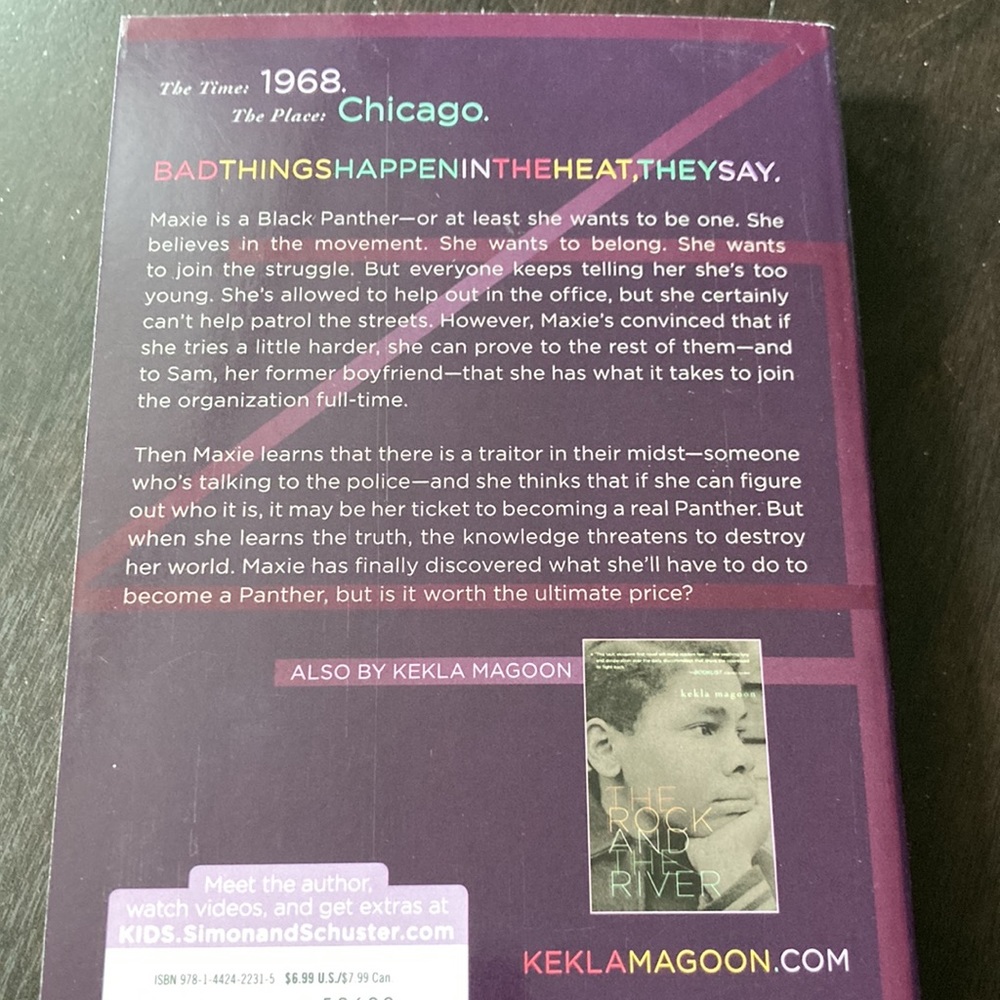 S&S 2 POC Civil Rights novels - Picture 3 of 6